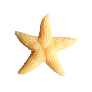 Sea Star Fridge Sticker