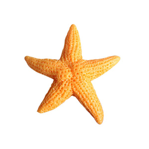 Sea Star Fridge Sticker